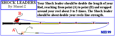 Description of a "SHOCK" Leader.